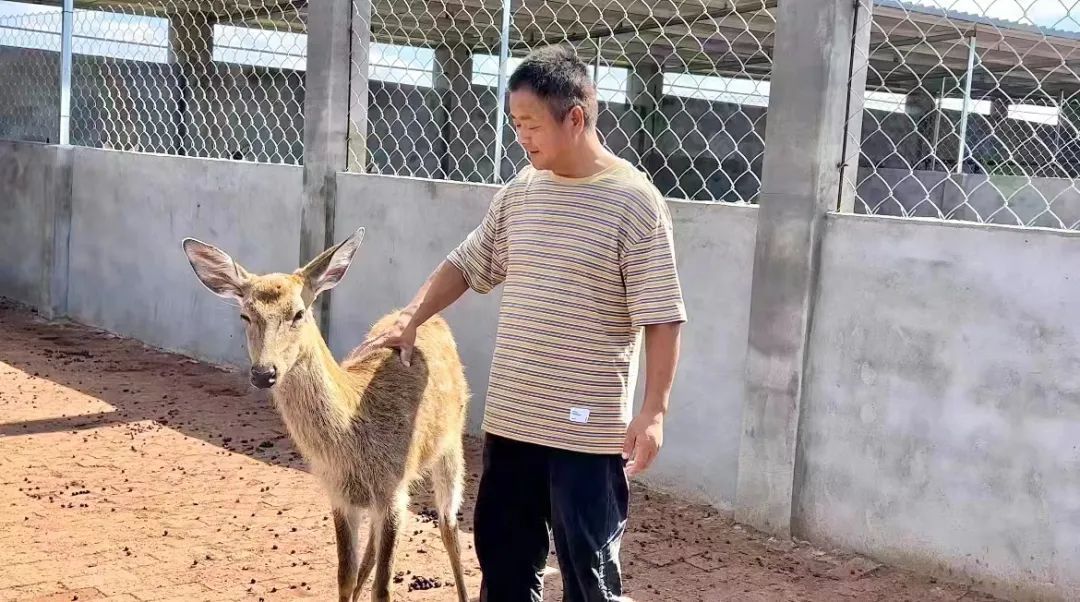 威廉立博胜负赔一致